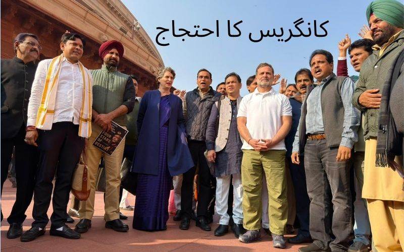 لوک سبھا میں ہنگامہ آرائی کےبعد اجلاس دن بھرکےلئےملتوی 